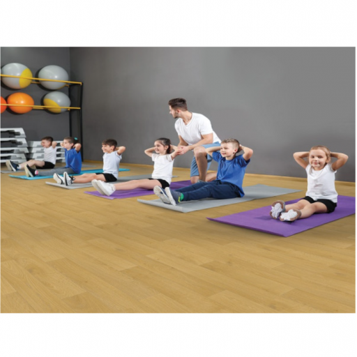 Линолеум спортивный Профи Bigfoot 4.3 FALCO 22